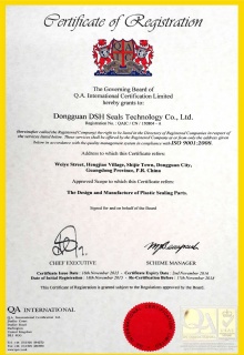 ISO 9001 质量管理体系认证（英）